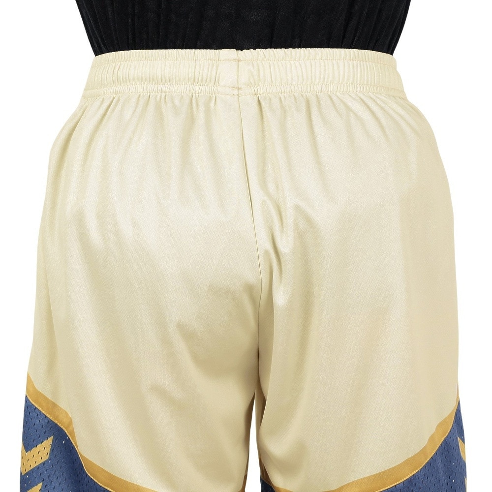 ヒュンメル（hummel）（メンズ）【新商品】 バスケットボールウェア ハーフパンツ HAPB6076P-16
