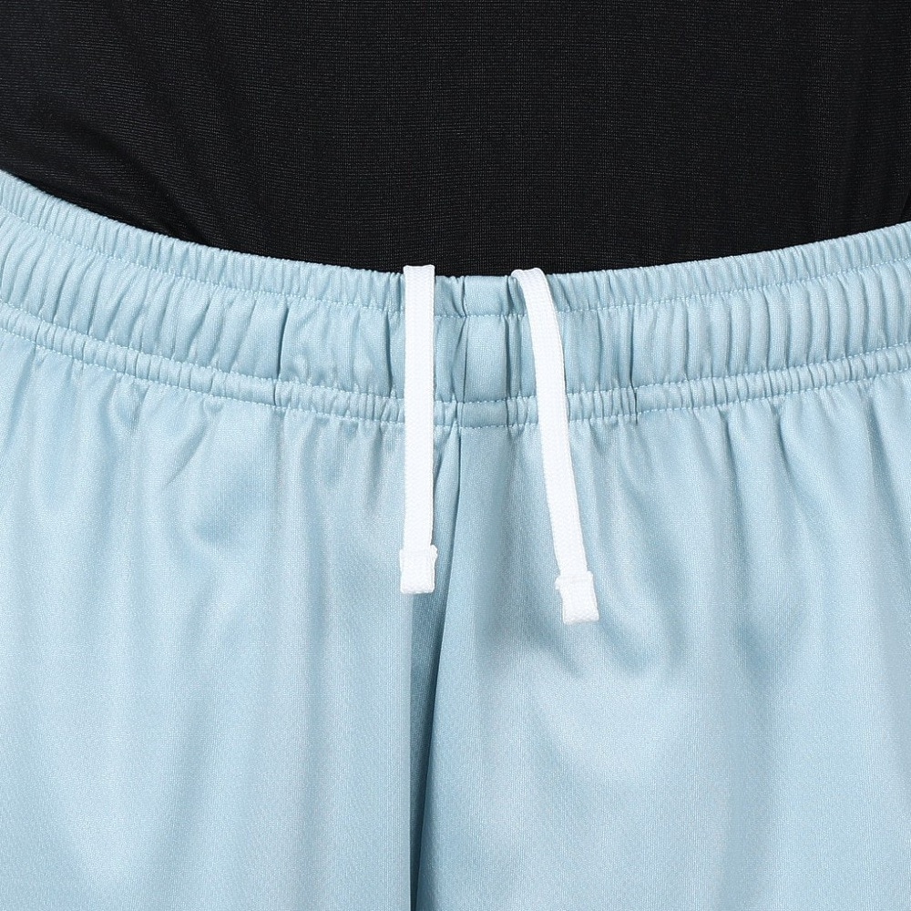ヒュンメル（hummel）（メンズ）【新商品】 バスケットボールウェア ハーフパンツ HAPB6076P-651