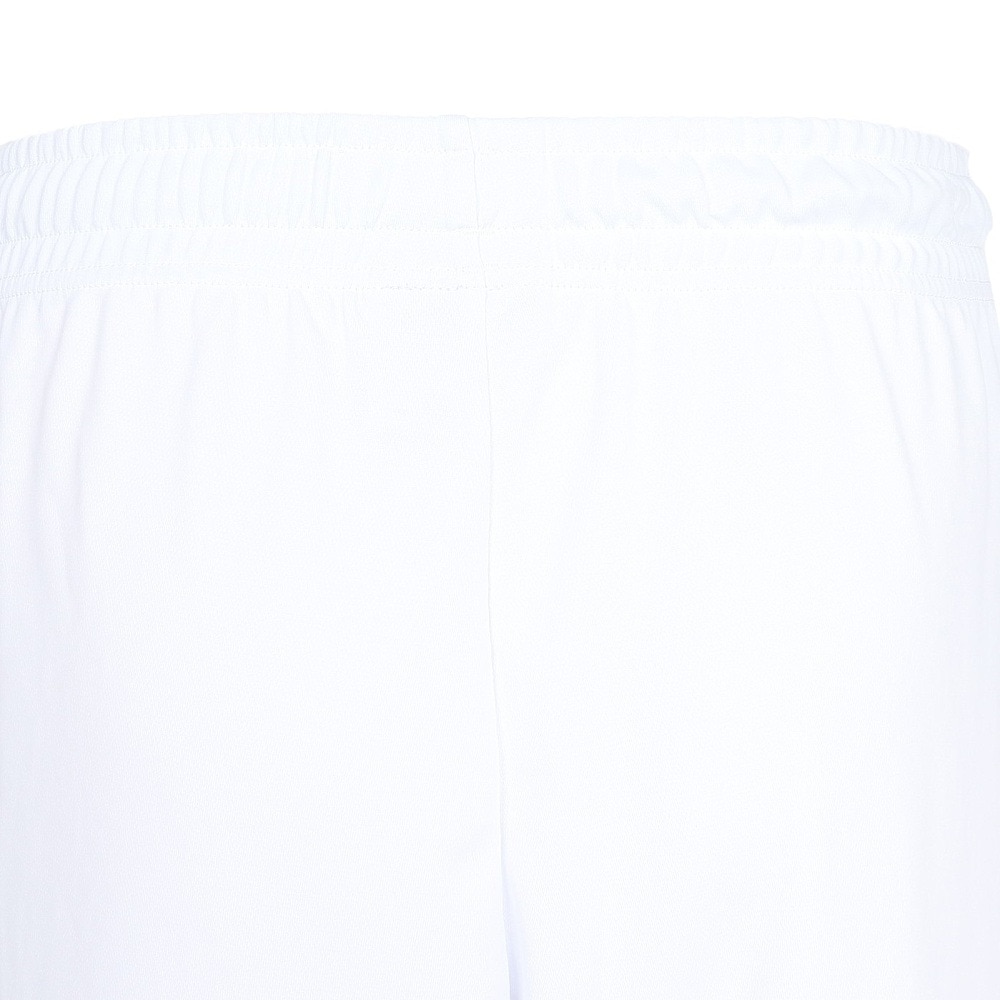インザペイント（IN THE PAINT）（メンズ）バスケットボールウェア ショーツ ITP25312WHT/MSV