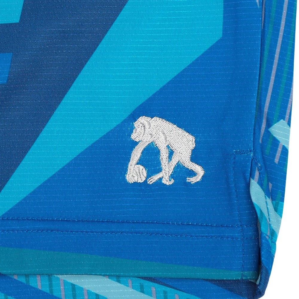 エゴザル（EGOZARU）（メンズ、レディース）バスケットボールウェア ワイドジオメトリック カットオフ ショートパンツ EZHP-S2401C132S1