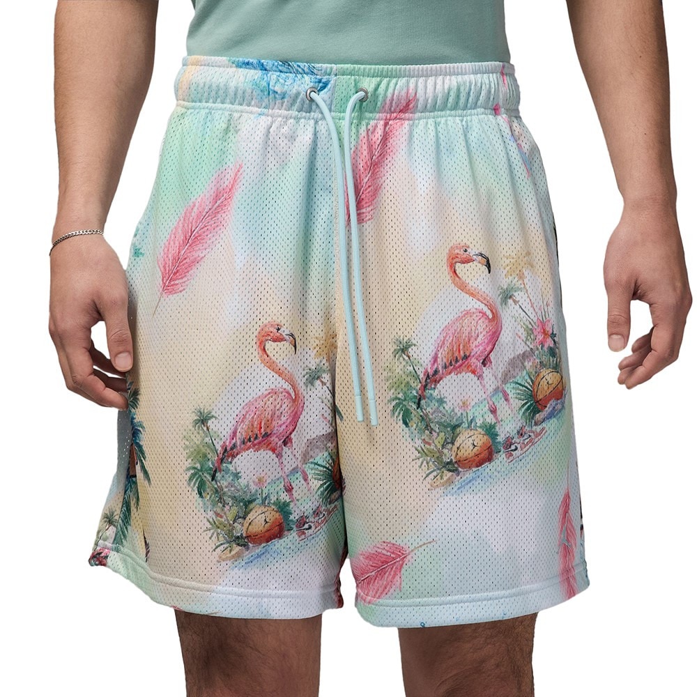 ジョーダン（JORDAN）（メンズ）【新商品】 バスケットボールウェア エッセンシャル プリント メッシュ ショートパンツ IB3012-133