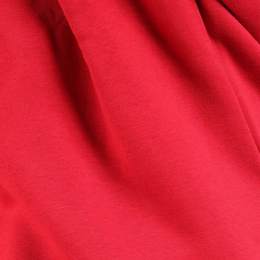 ジョーダン（JORDAN）（メンズ）スウェット トレーナー ESSENTIALS フリース 長袖 クルーネック DQ7521-687★★★