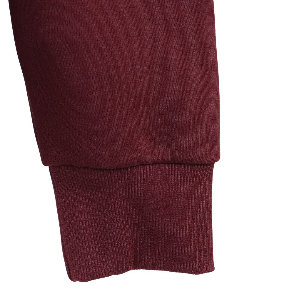 ニューバランス（new balance）（メンズ）バスケットボールウェア Hoops Classic Court スウェットプルオーバーフーディー MT23585NBY