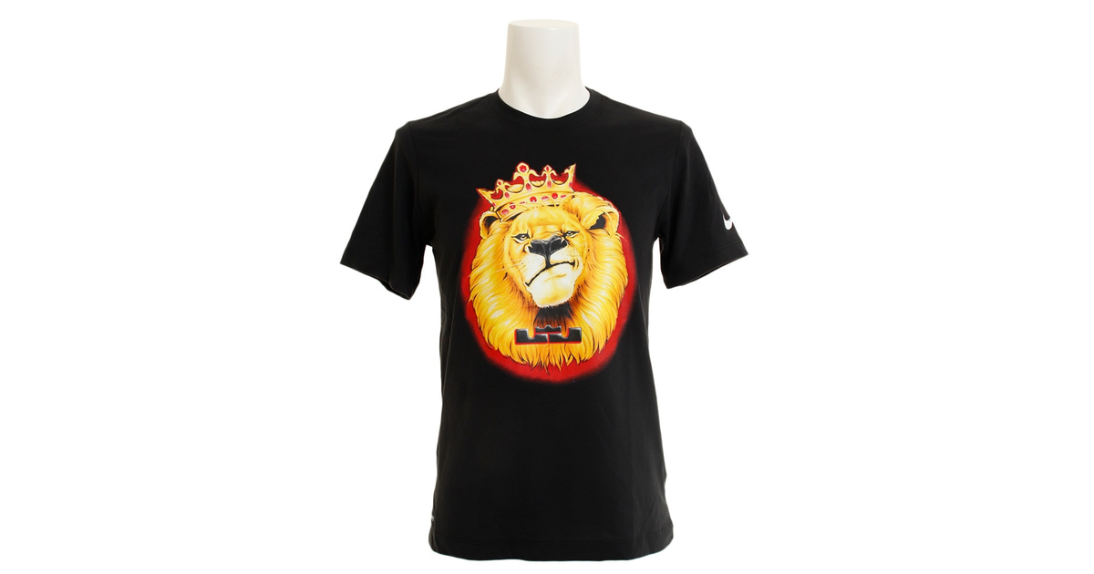 Tシャツ レブロン ジェームズ Airbrush Bv16 010fa19hp オンライン価格 ジョーダン スーパースポーツゼビオ