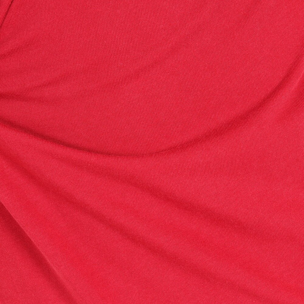 ジョーダン（JORDAN）（メンズ）ドライフィッ エア グラフィック 半袖トップ Tシャツ バスケットボール DA2695-687  スポーツ用品はスーパースポーツゼビオ