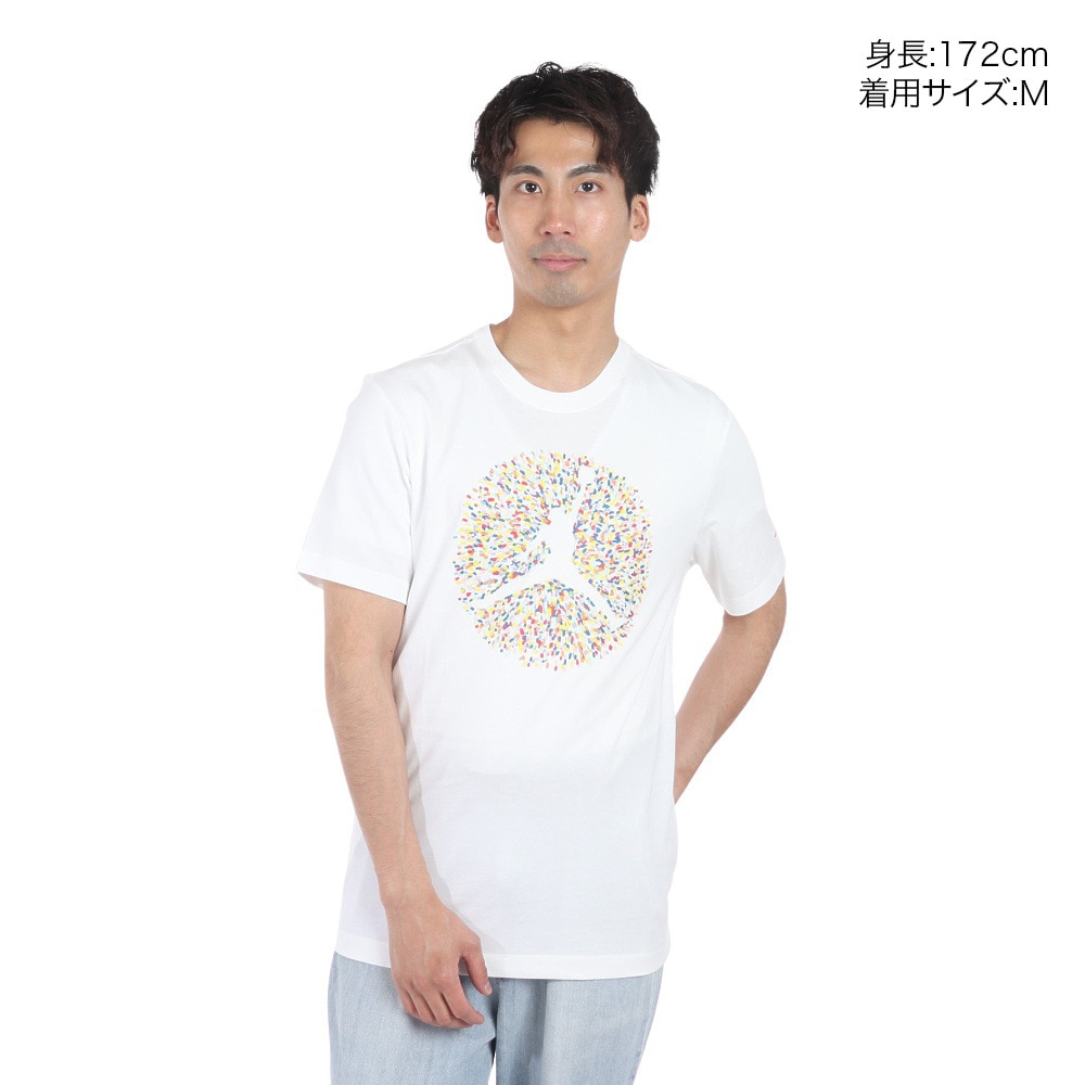 ジョーダン（JORDAN）（メンズ）Tシャツ バスケットボールウェア フライト エッセンシャル プール 半袖 クルー FN6007-100