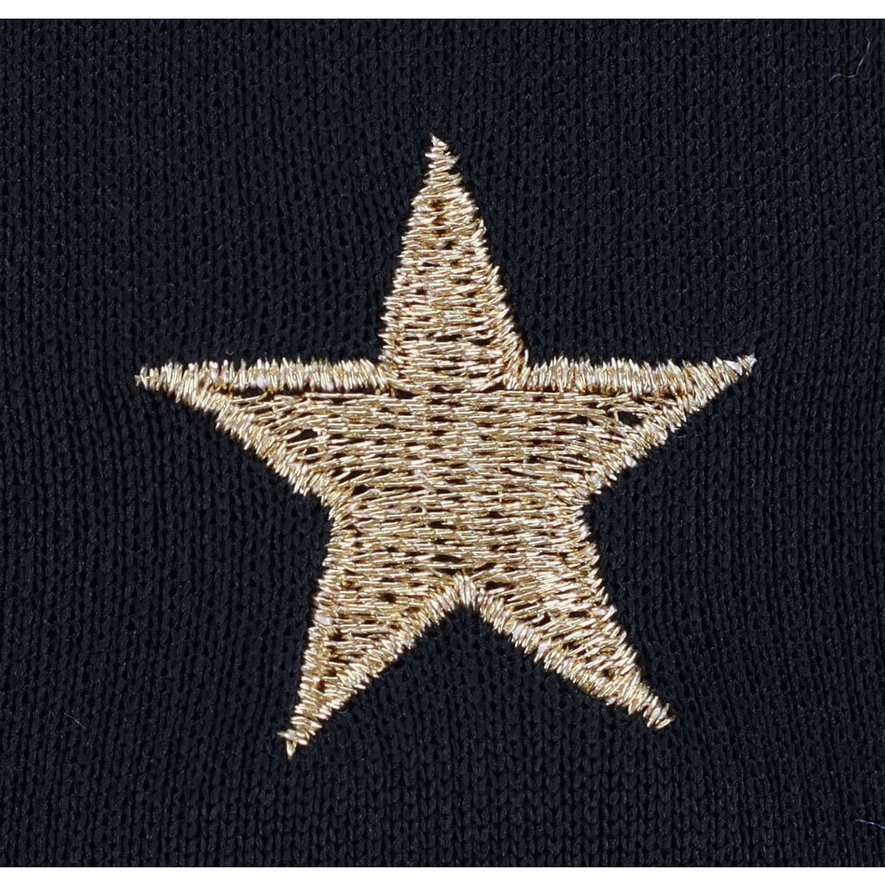 コンバース（CONVERSE）（メンズ、レディース）バスケットボールウェア ゴールドシリーズ プリントTシャツ CBG251352-1900