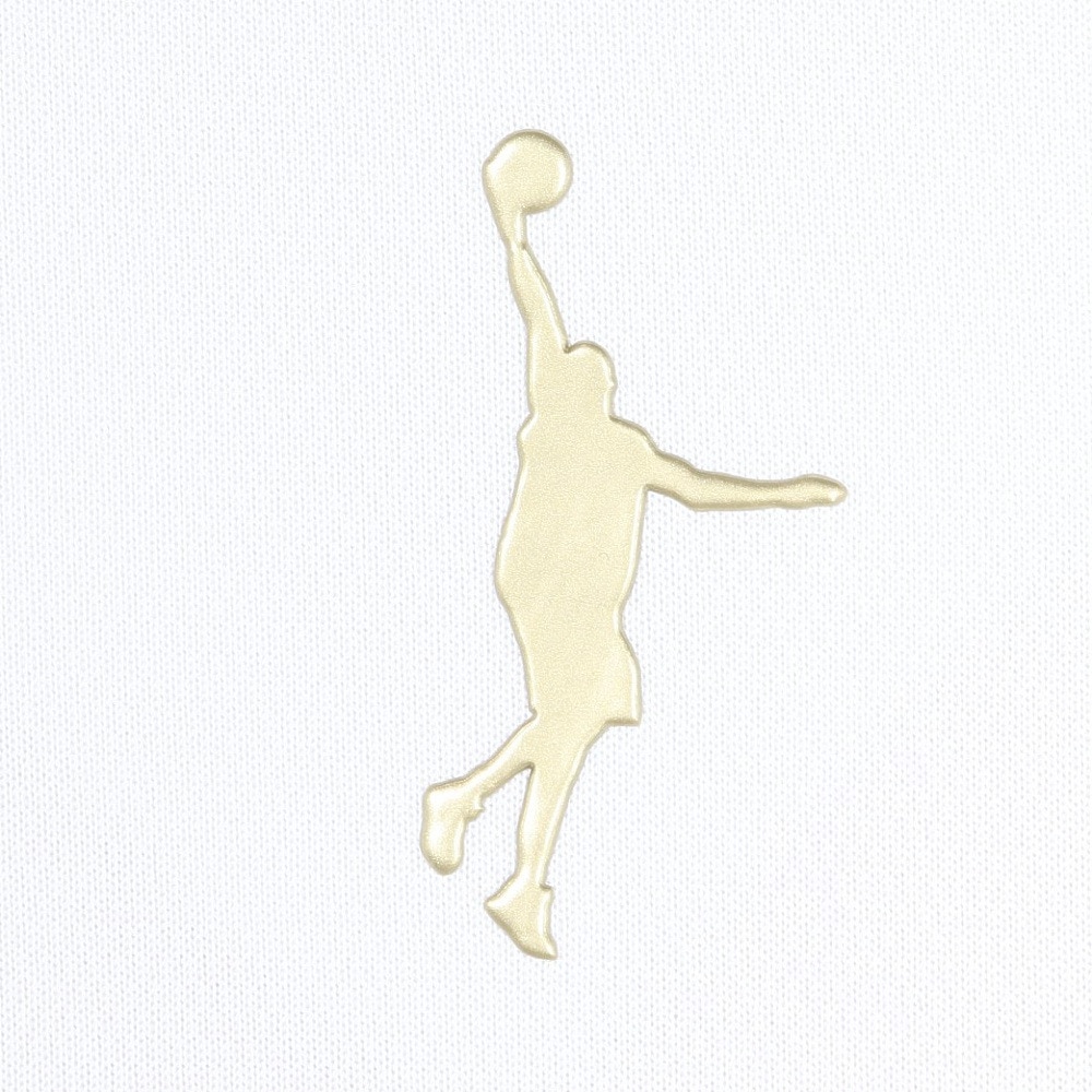インザペイント（IN THE PAINT）（メンズ）バスケットボールウェア 半袖Tシャツ ITP25311WHT/MGD