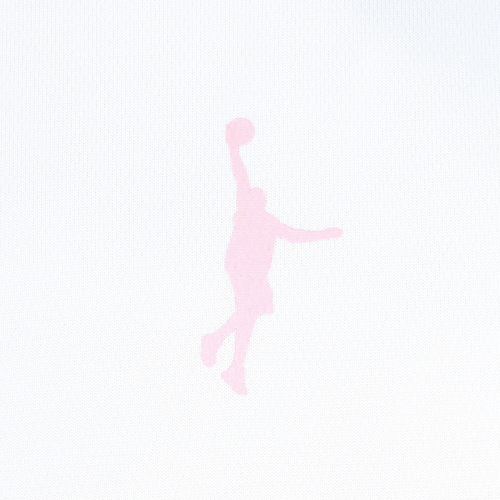 インザペイント（IN THE PAINT）（メンズ）バスケットボールウェア 半袖Tシャツ ITP25329WHT/PNK