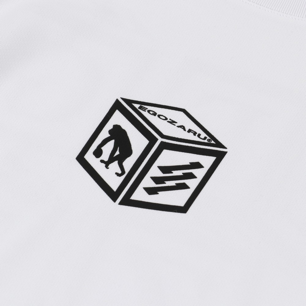 エゴザル（EGOZARU）（メンズ、レディース）バスケットボールウェア キューブバックプリントTシャツ EZSS25UST009C002