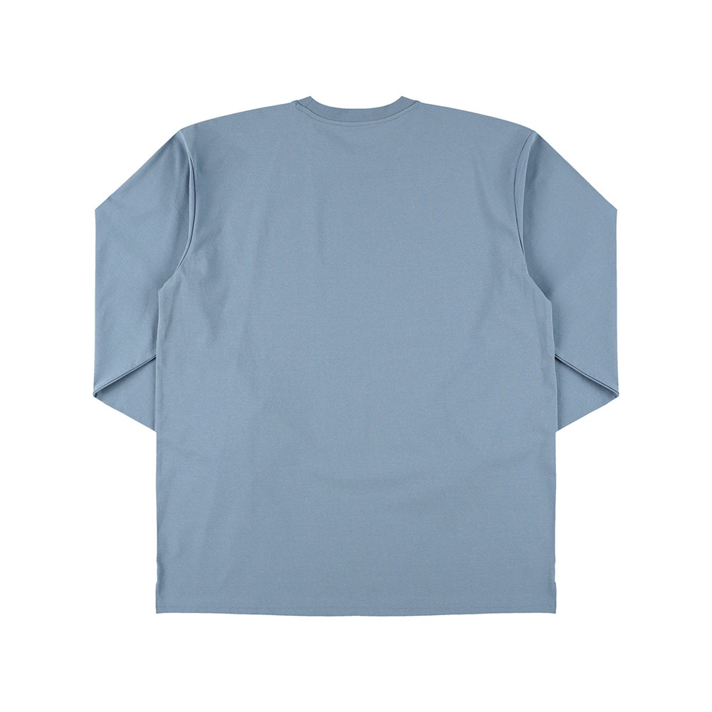 エゴザル（EGOZARU）（メンズ、レディース）バスケットボールウェア アップビート 長袖Tシャツ EZFW25ULS022 C219