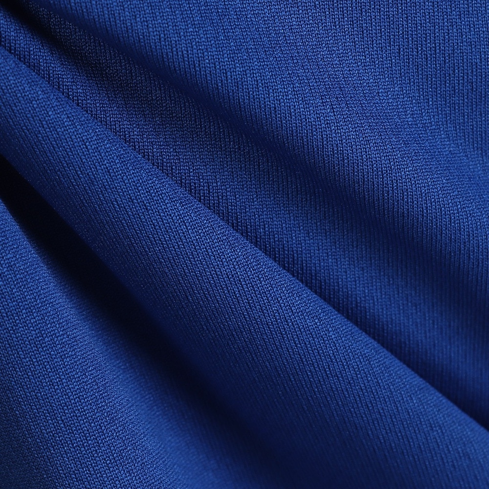 ラッセル（RUSSELL）（キッズ）バスケットボールウェア ジュニア LION 半袖Tシャツ RBBJ25S016 BLU