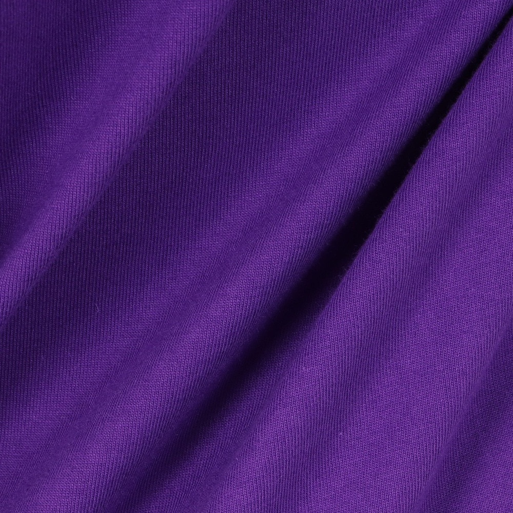 ミッチェルアンドネス（Mitchell&Ness）（メンズ）プレイヤー 半袖Tシャツ トロント・ラプターズ NN8097-TRAPURP