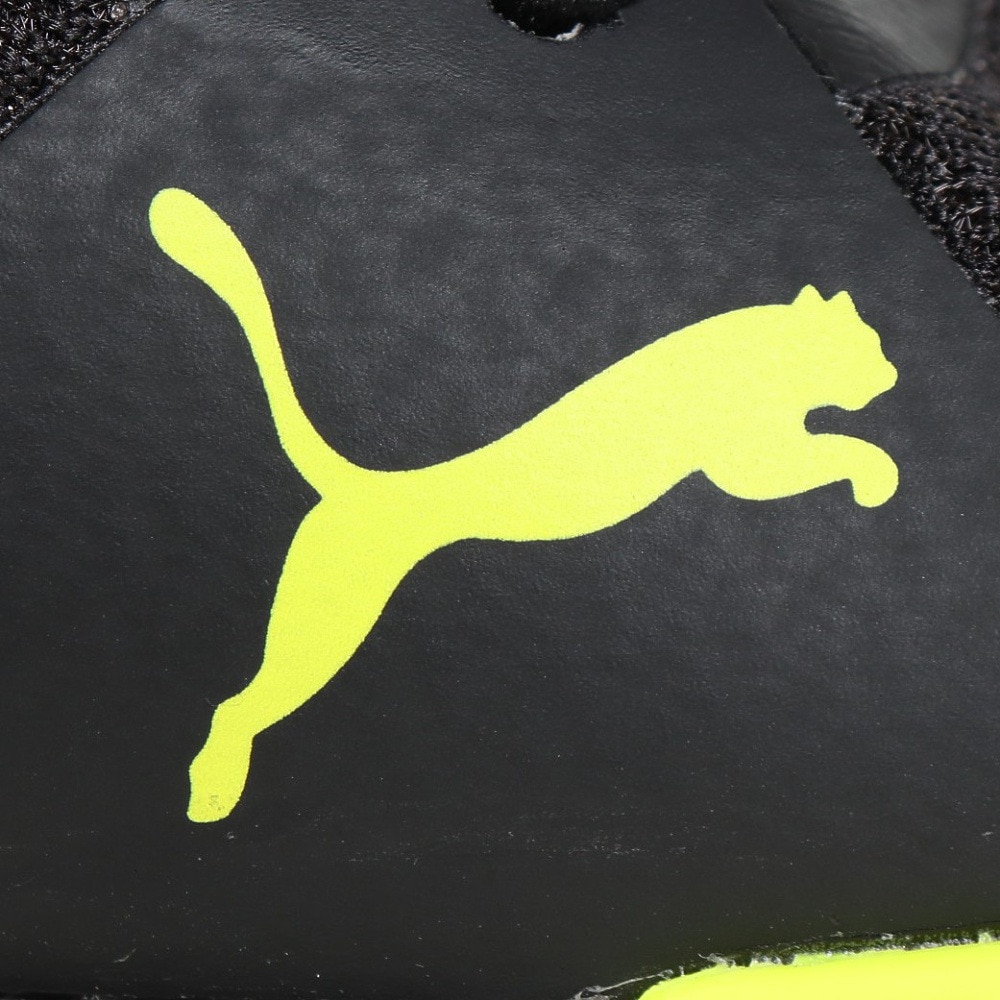 プーマ（PUMA）（メンズ）バスケットシューズ バッシュ COURT PRO コートプロ 31082903