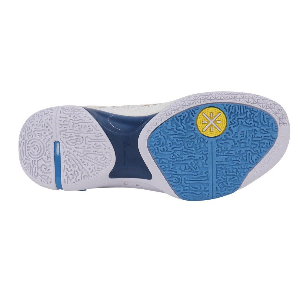 リーニン（LI-NING）（メンズ）バスケットシューズ バッシュ WADE SHADOW 6 ウェイドシャドウ6 輪廻 ABPU029-10