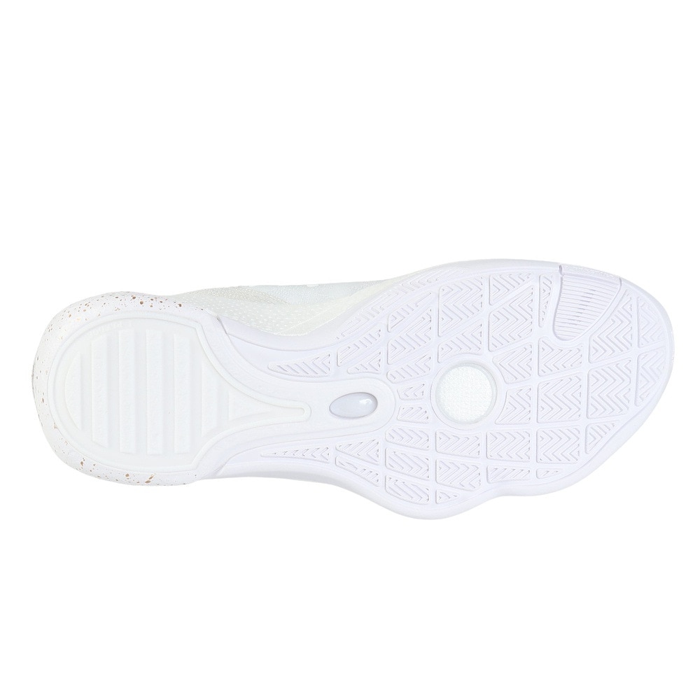 リーニン（LI-NING）（メンズ）バスケットシューズ バッシュ WADE ALL CITY 13 勝利の道 ABAV017-2