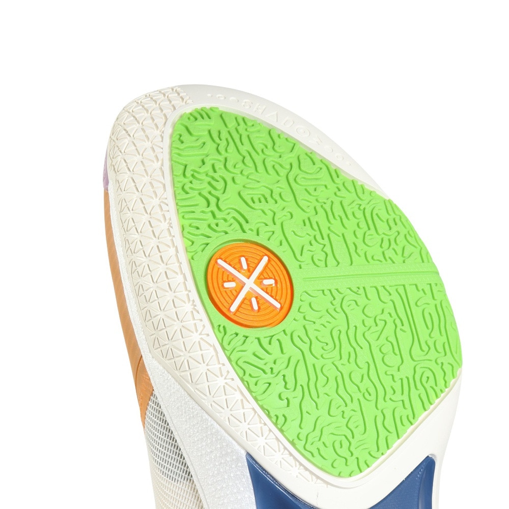 リーニン（LI-NING）（メンズ）バスケットシューズ バッシュ WADE SHADOW 6V2 夏の花 ABPV021-3