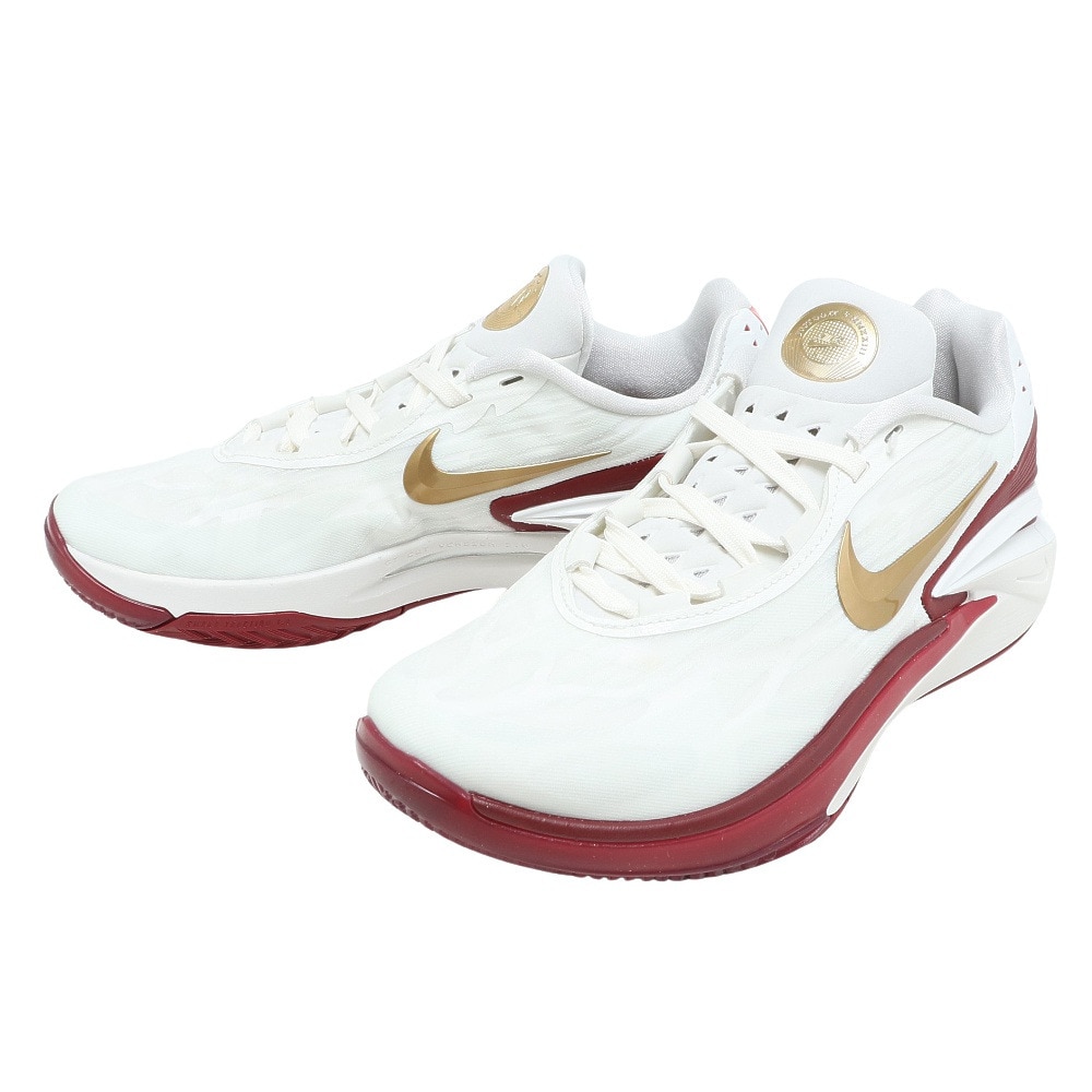 ナイキ（NIKE）（メンズ）バスケットシューズ バッシュ エアズーム G.T. カット 2 DJ6015-103