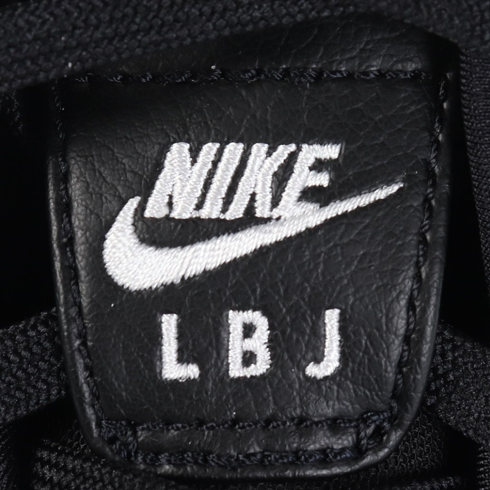 ナイキ（NIKE）（メンズ）バスケットシューズ バッシュ ズーム レブロン NXXT GEN EP DR8788-003