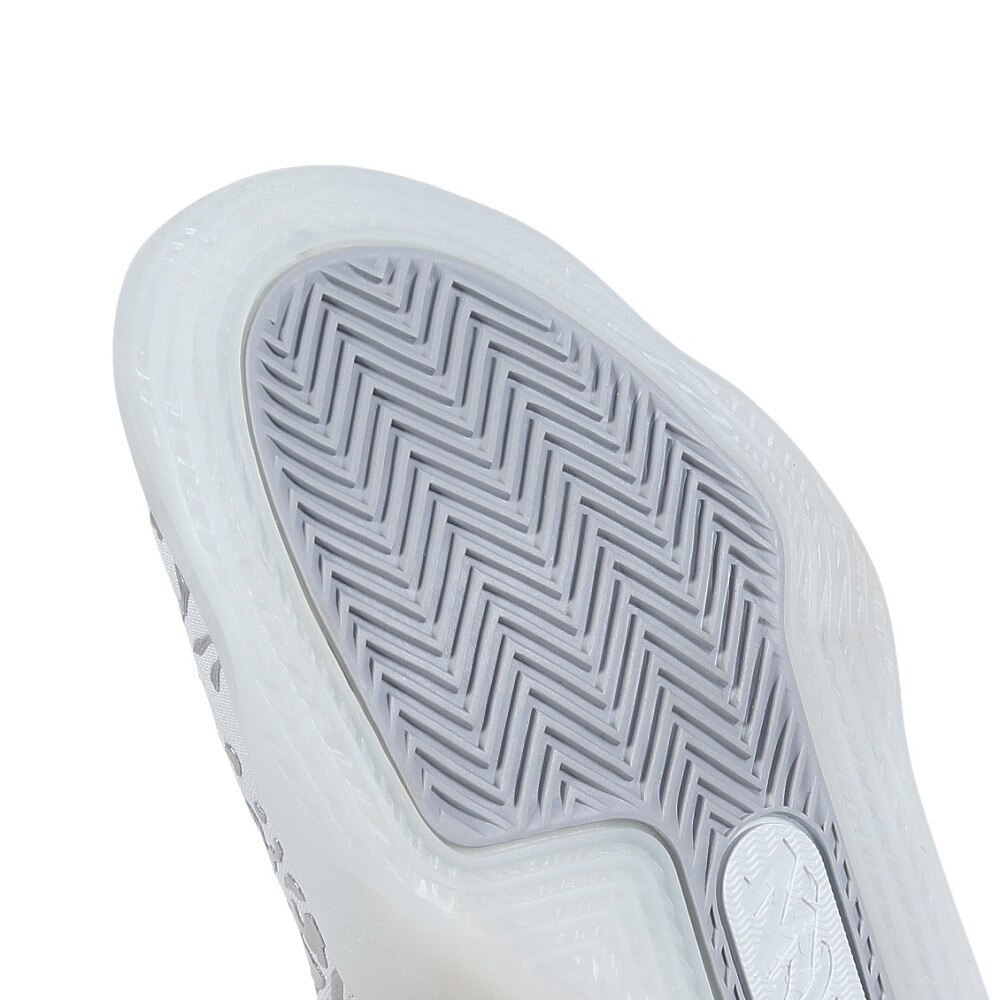 ジョーダン（JORDAN）（メンズ）バスケットシューズ バッシュ ザイオン 3 PF DR0676-016