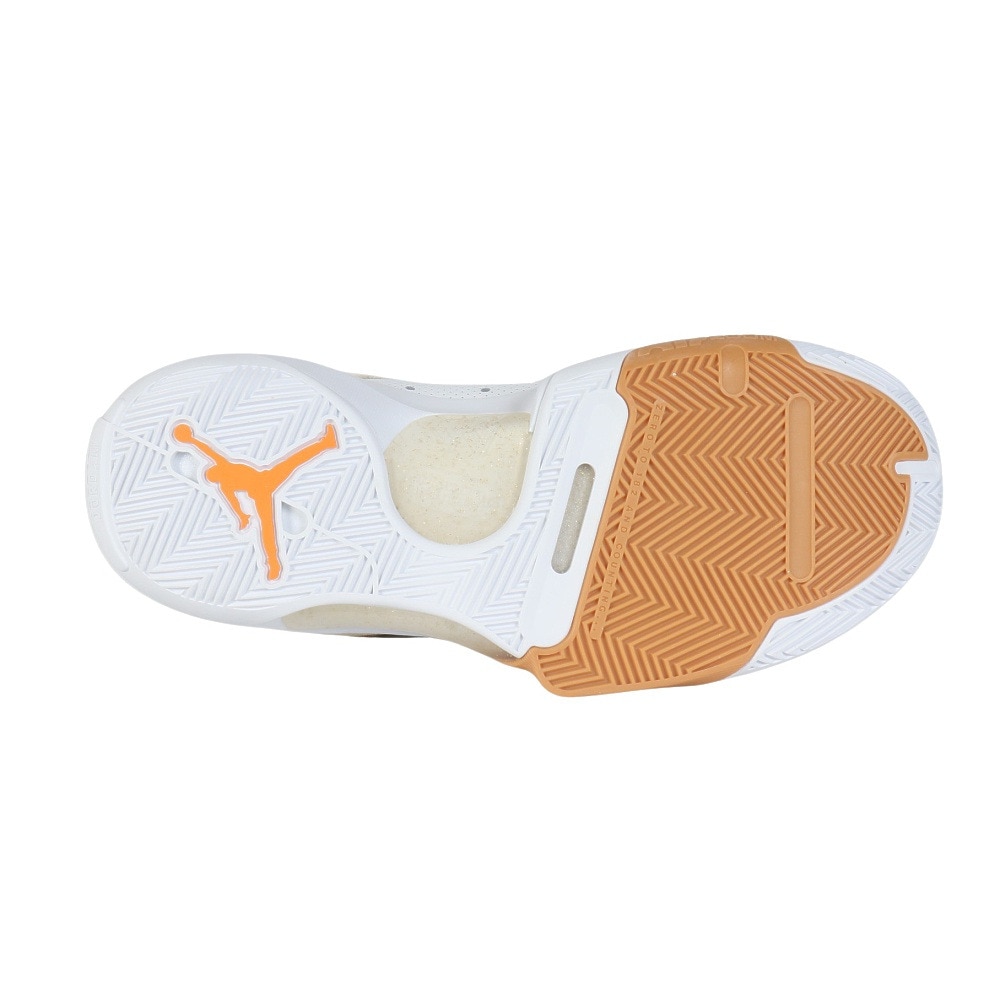 ジョーダン（JORDAN）（メンズ）バスケットシューズ バッシュ ワン テイク 5 PF FD2336-102