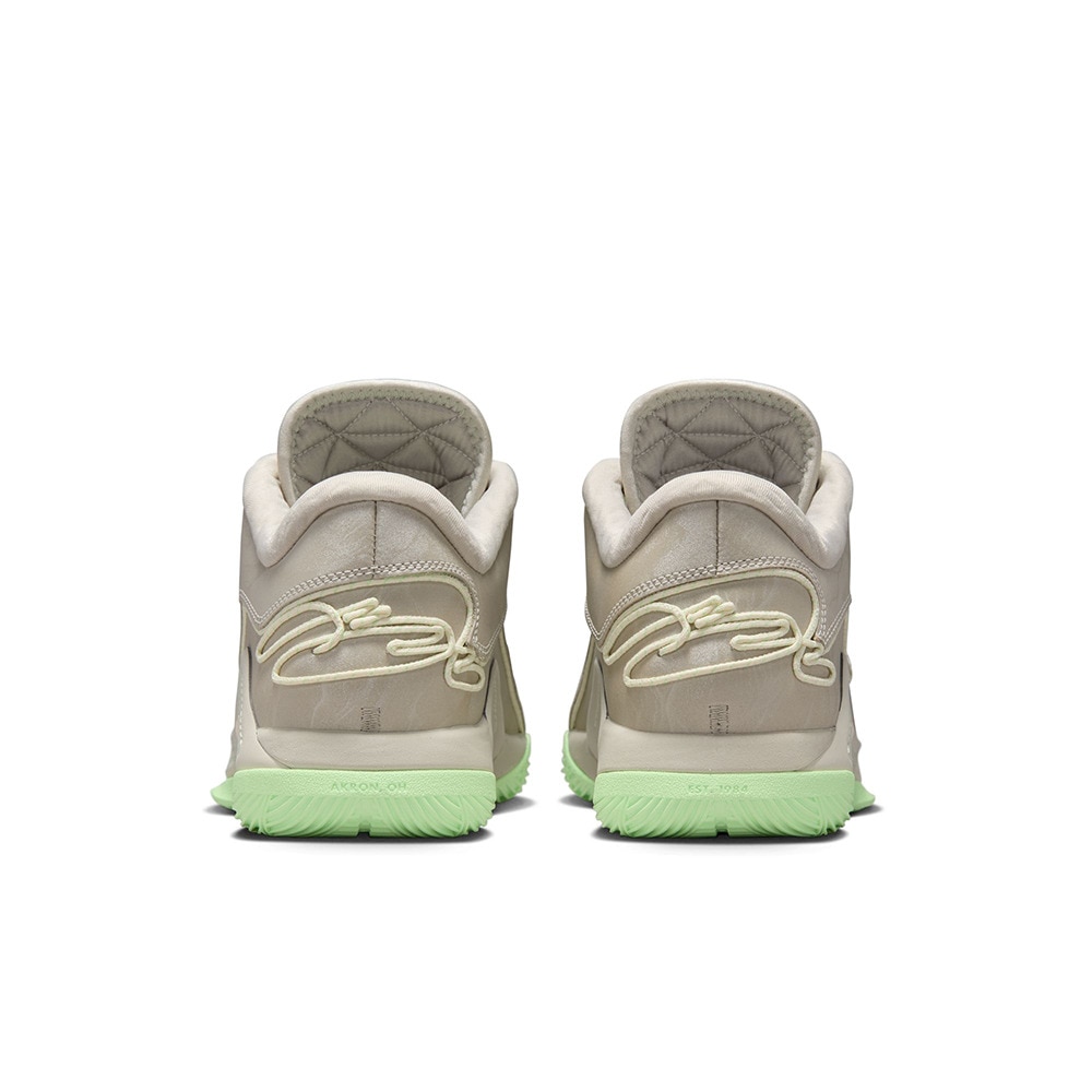 ナイキ（NIKE）（メンズ）バスケットシューズ バッシュ レブロン 22 EP FZ1095-002