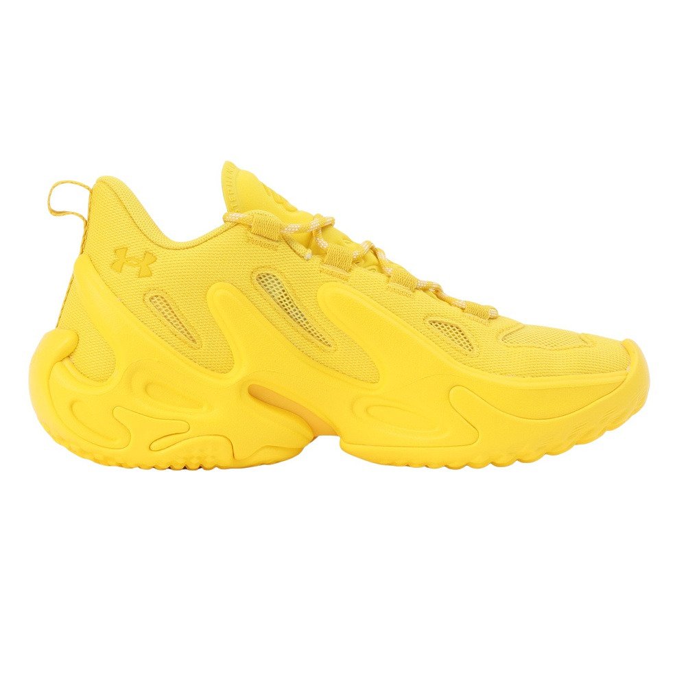 アンダーアーマー（UNDER ARMOUR）（メンズ、レディース）バスケット