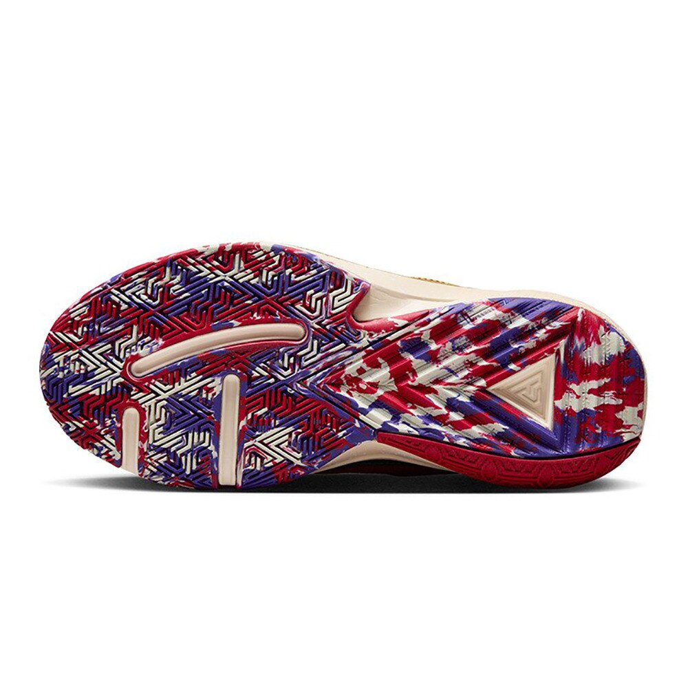 ナイキ（NIKE）（キッズ）ジュニアバスケットシューズ バッシュ フリーク 5 DZ4486-600