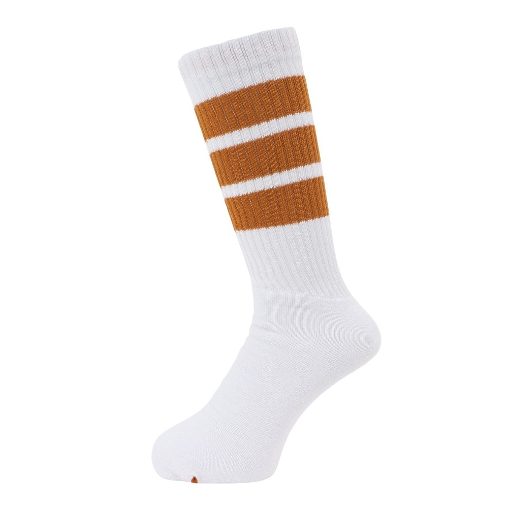 アクター（AKTR）（メンズ、レディース）バスケットボール ソックス MONSTER SOCKS 223-022021 WHYL