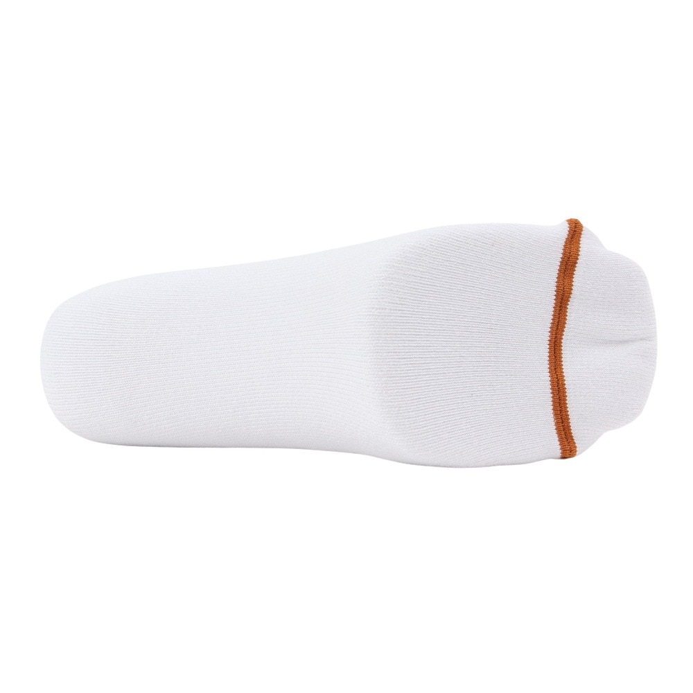 アクター（AKTR）（メンズ、レディース）バスケットボール ソックス MONSTER SOCKS 223-022021 WHYL