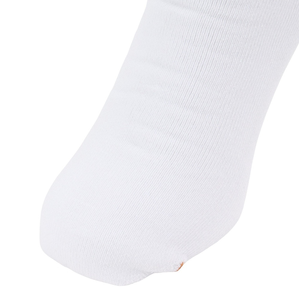 アクター（AKTR）（メンズ、レディース）バスケットボール ソックス MONSTER SOCKS 223-022021 WHYL
