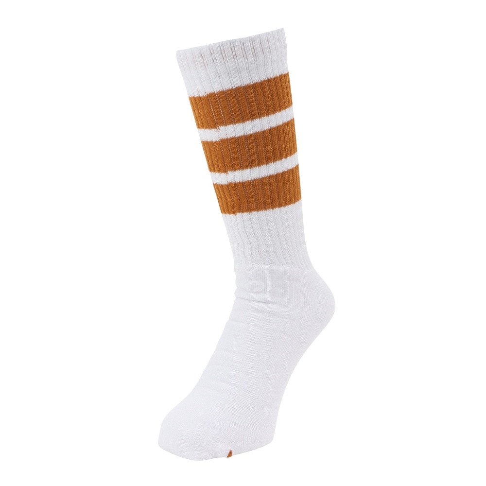 アクター（AKTR）（メンズ、レディース）バスケットボール ソックス MONSTER SOCKS 223-022021 WHYL