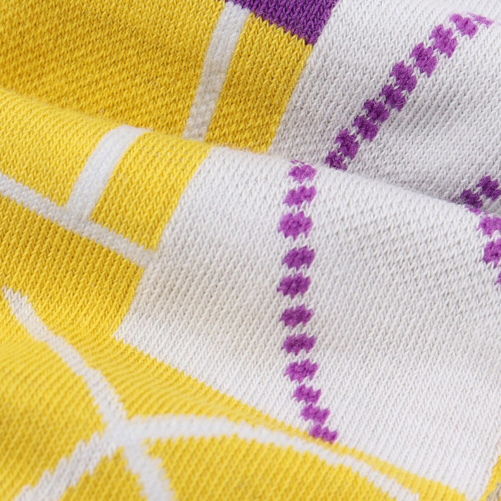 ソックス ZX V4 SOCKS｜Japan official｜alpinestars アルパインスターズ