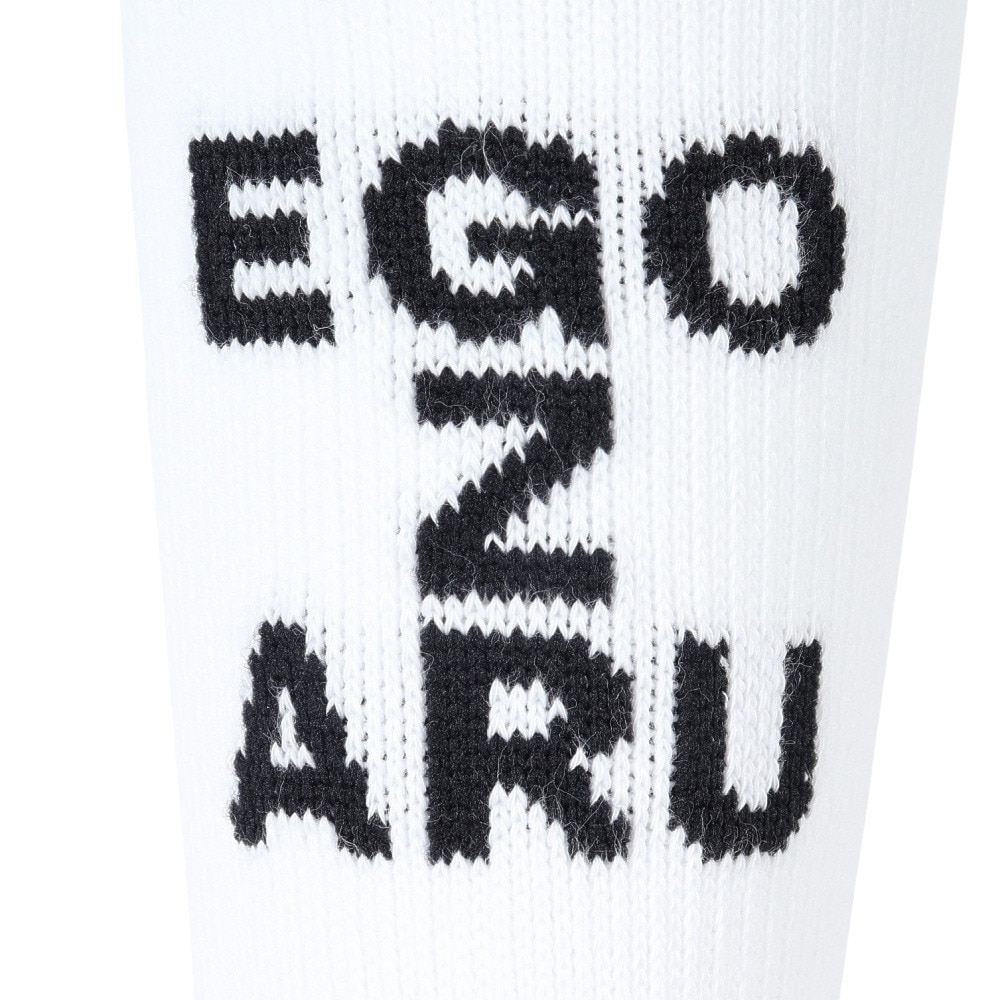 エゴザル（EGOZARU）（メンズ、レディース）バスケットボール ソックス バックロゴ センターZソックス EZAC-F2306-025