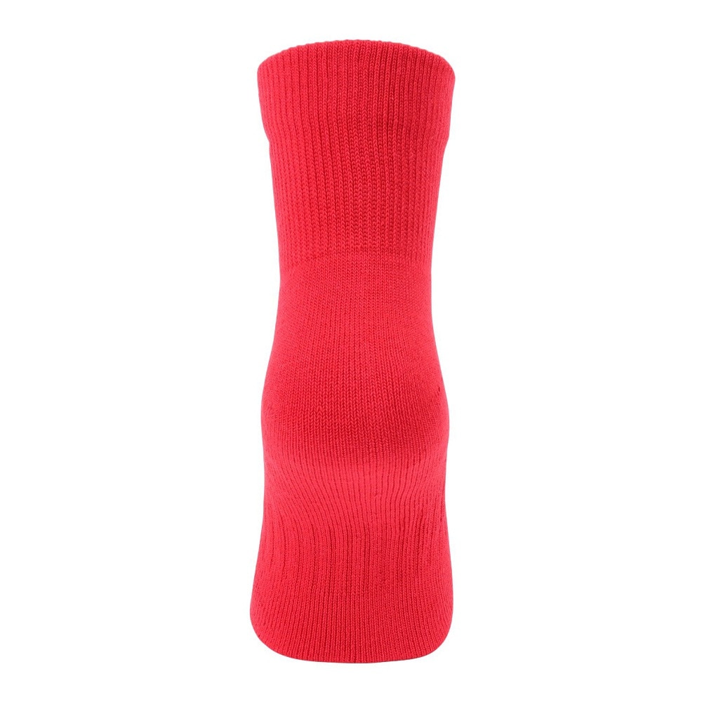 インザペイント（IN THE PAINT）（メンズ）バスケットボール ソックス ITP121A RED