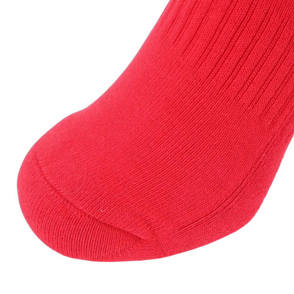 インザペイント（IN THE PAINT）（メンズ）バスケットボール ソックス ITP121A RED