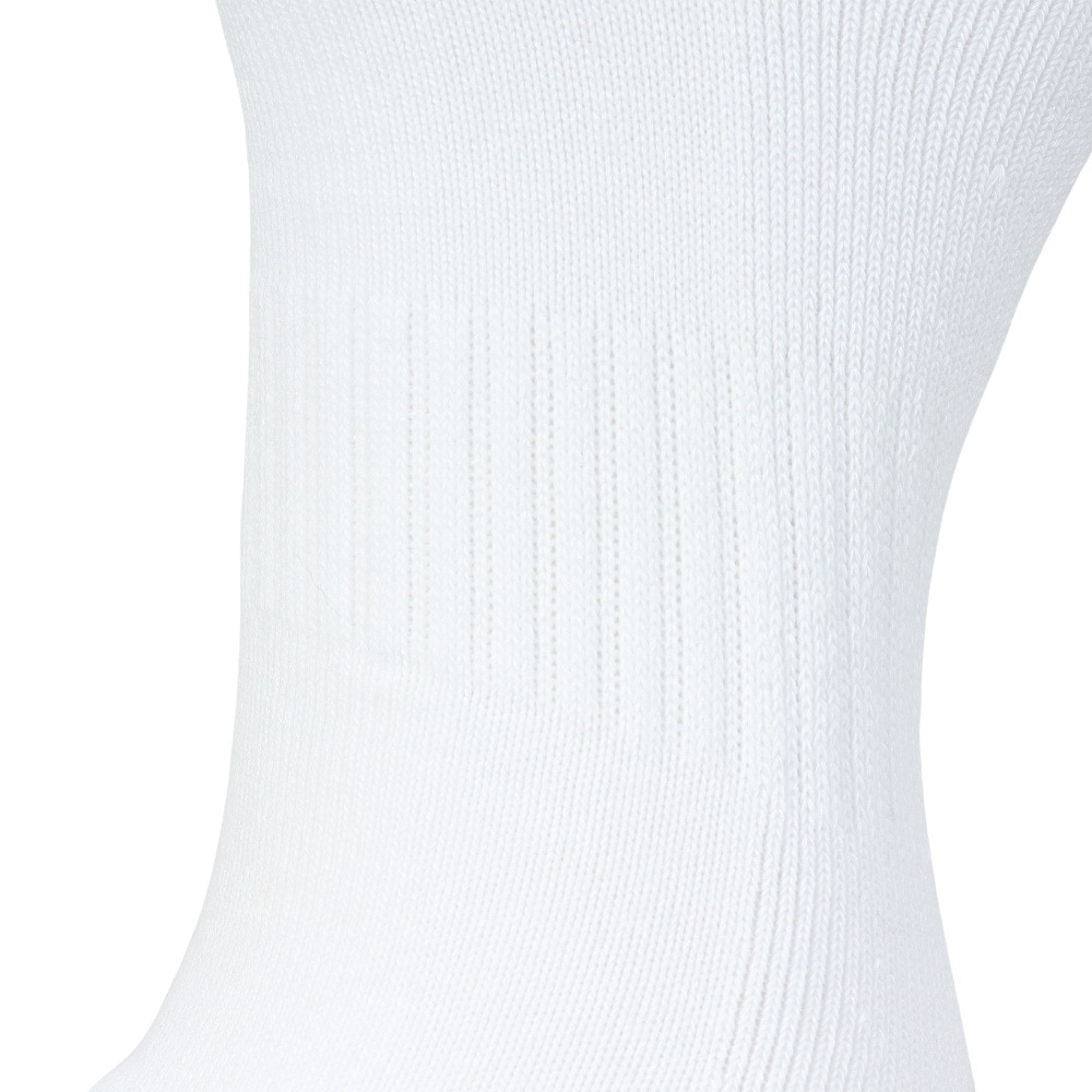 インザペイント（IN THE PAINT）（メンズ）バスケットボール ソックス ITP24487WHT/RED