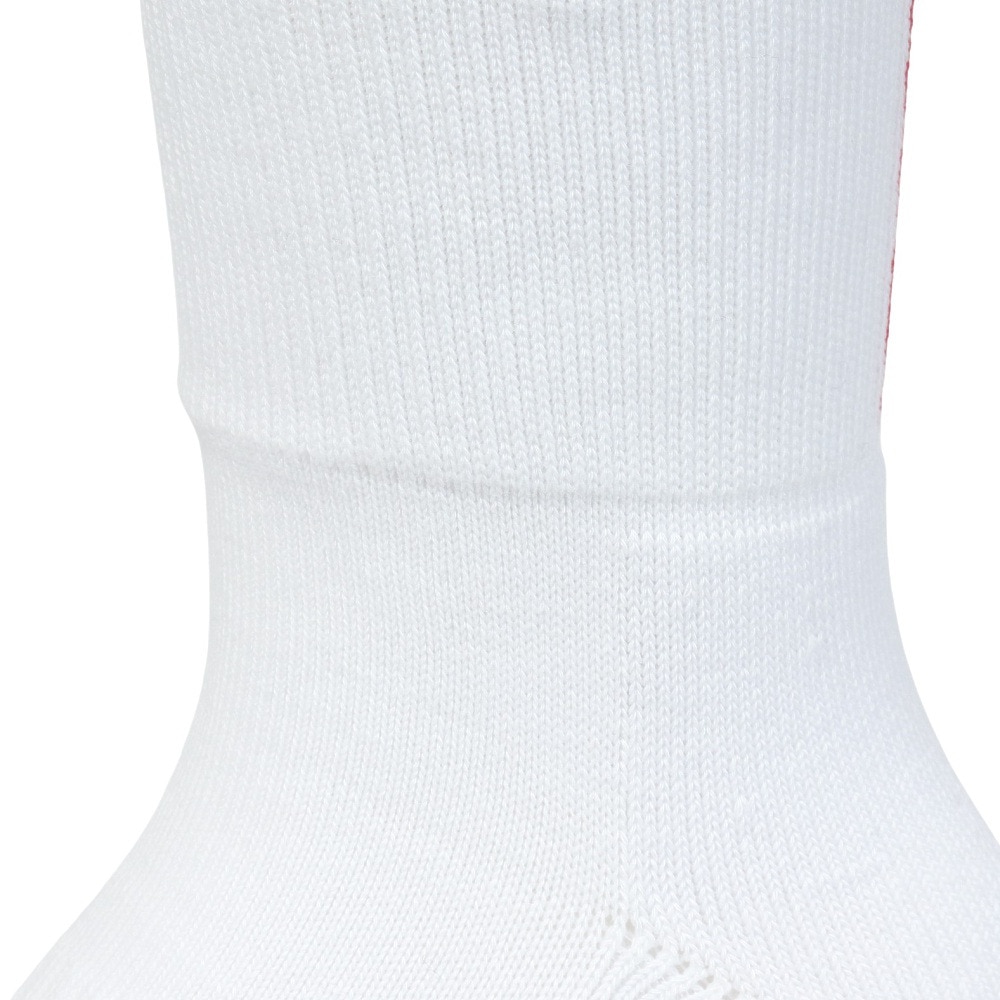 インザペイント（IN THE PAINT）（メンズ）バスケットボール ソックス ITP24487WHT/RED