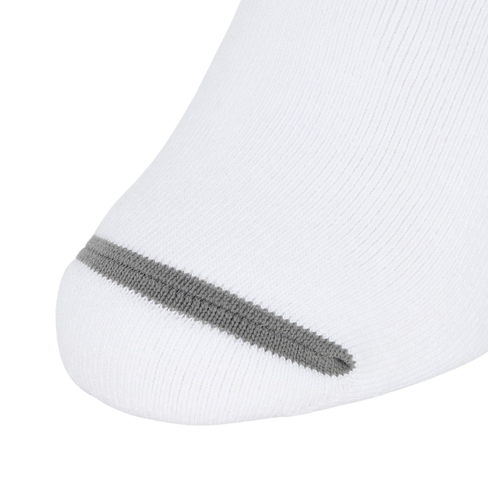 アクター（AKTR）（メンズ、レディース、キッズ）バスケットボール ソックス MONSTER SOCKS 224-007021 BLGY