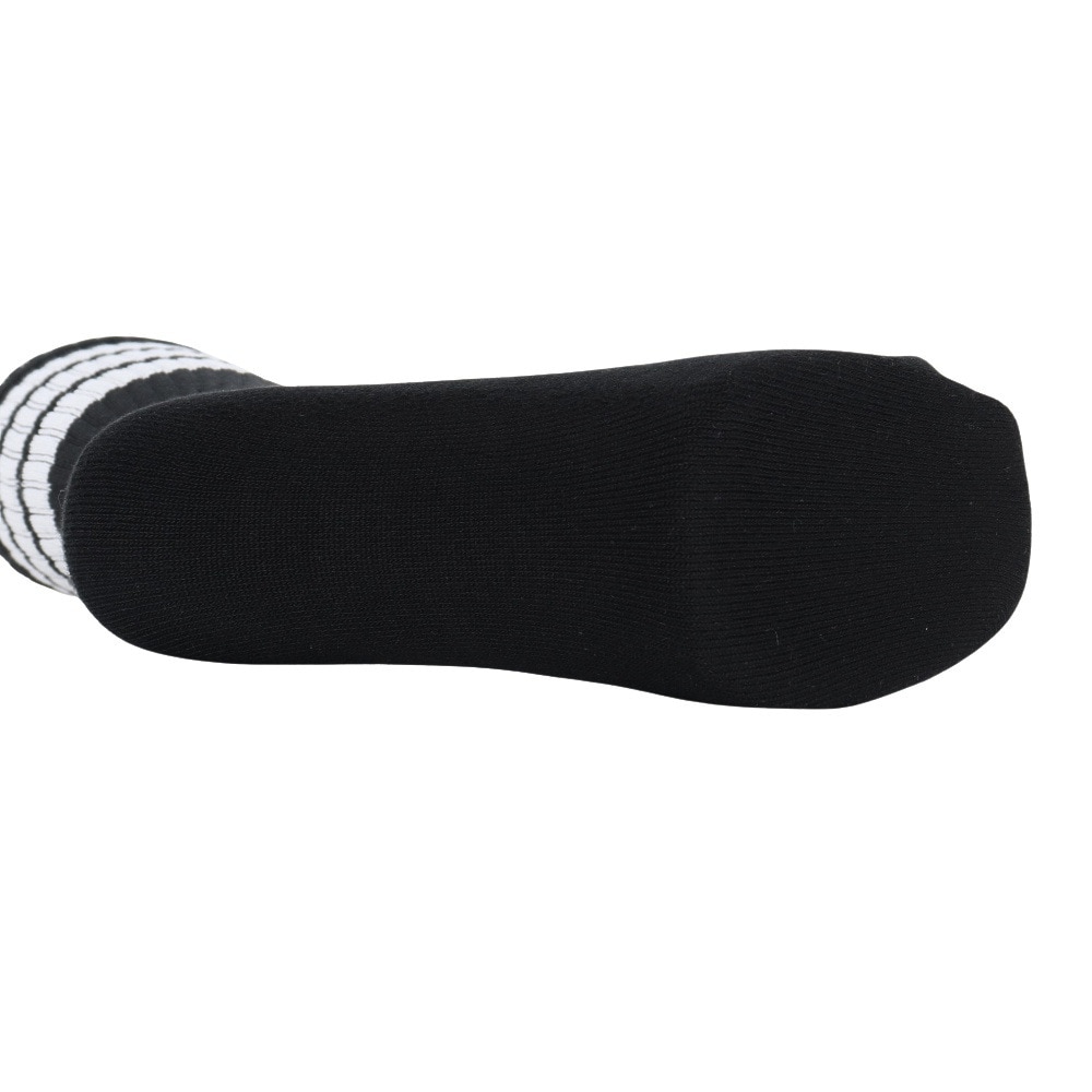 アクター（AKTR）（メンズ、レディース、キッズ）バスケットボール ソックス MONSTER SOCKS 224-007021 BKWH