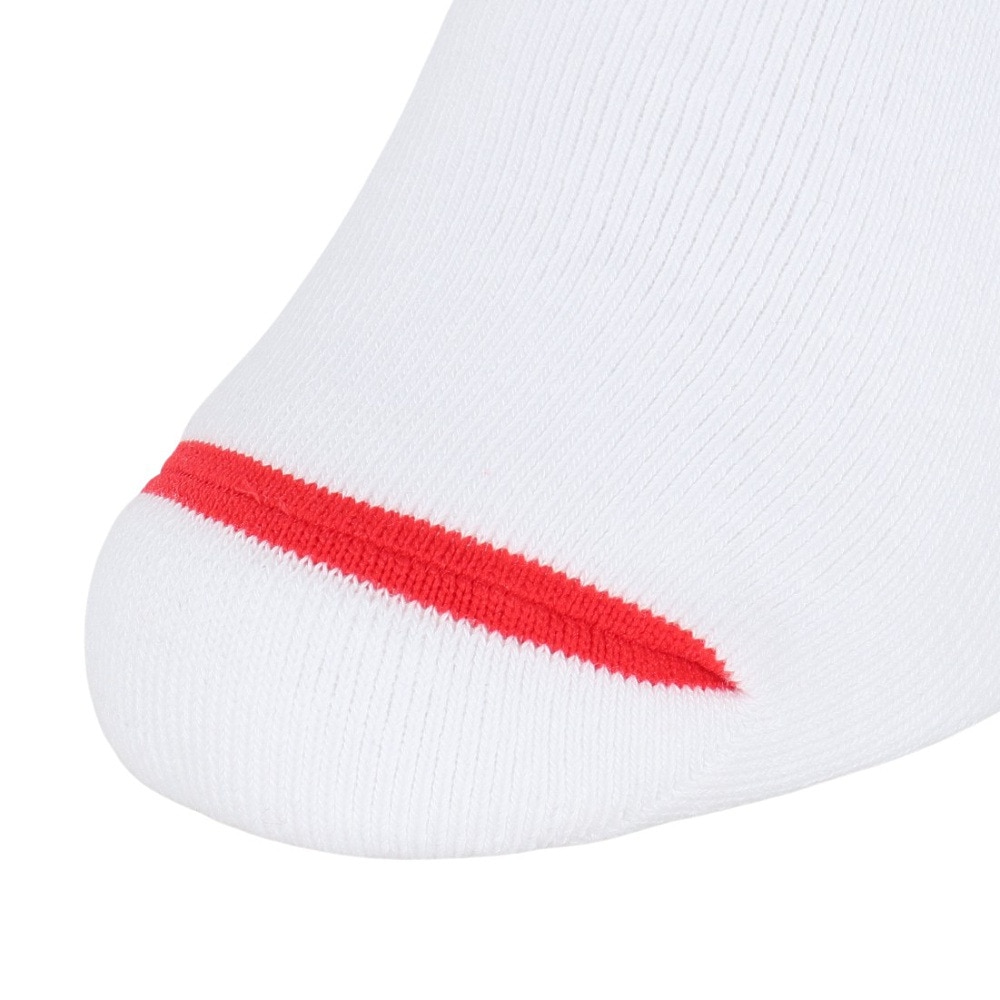 アクター（AKTR）（メンズ、レディース、キッズ）バスケットボール ソックス MONSTER SOCKS 224-007021 WHRD