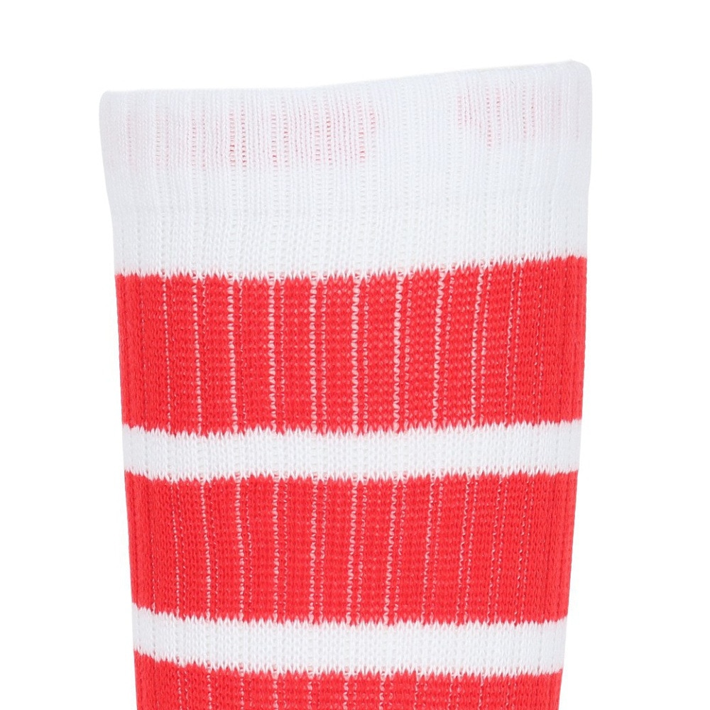 アクター（AKTR）（メンズ、レディース、キッズ）バスケットボール ソックス MONSTER SOCKS 224-007021 WHRD