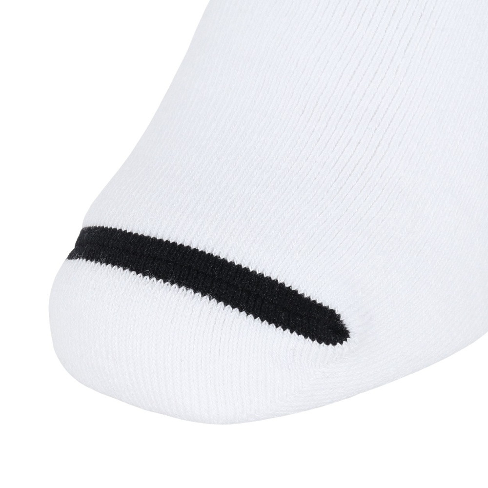 アクター（AKTR）（メンズ、レディース、キッズ）バスケットボール ソックス BASIC MONSTER SOCKS 524-003021 WHBK