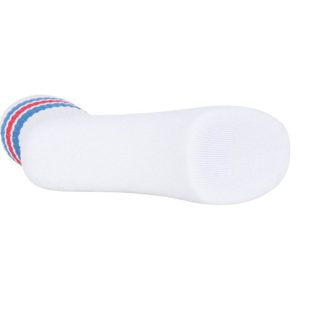 アクター（AKTR）（メンズ、レディース、キッズ）バスケットボール ソックス BASIC MONSTER SOCKS 524-004021 WHBL