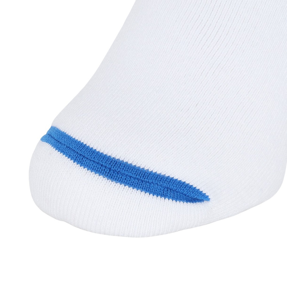 アクター（AKTR）（メンズ、レディース、キッズ）バスケットボール ソックス BASIC MONSTER SOCKS 524-004021 WHBL