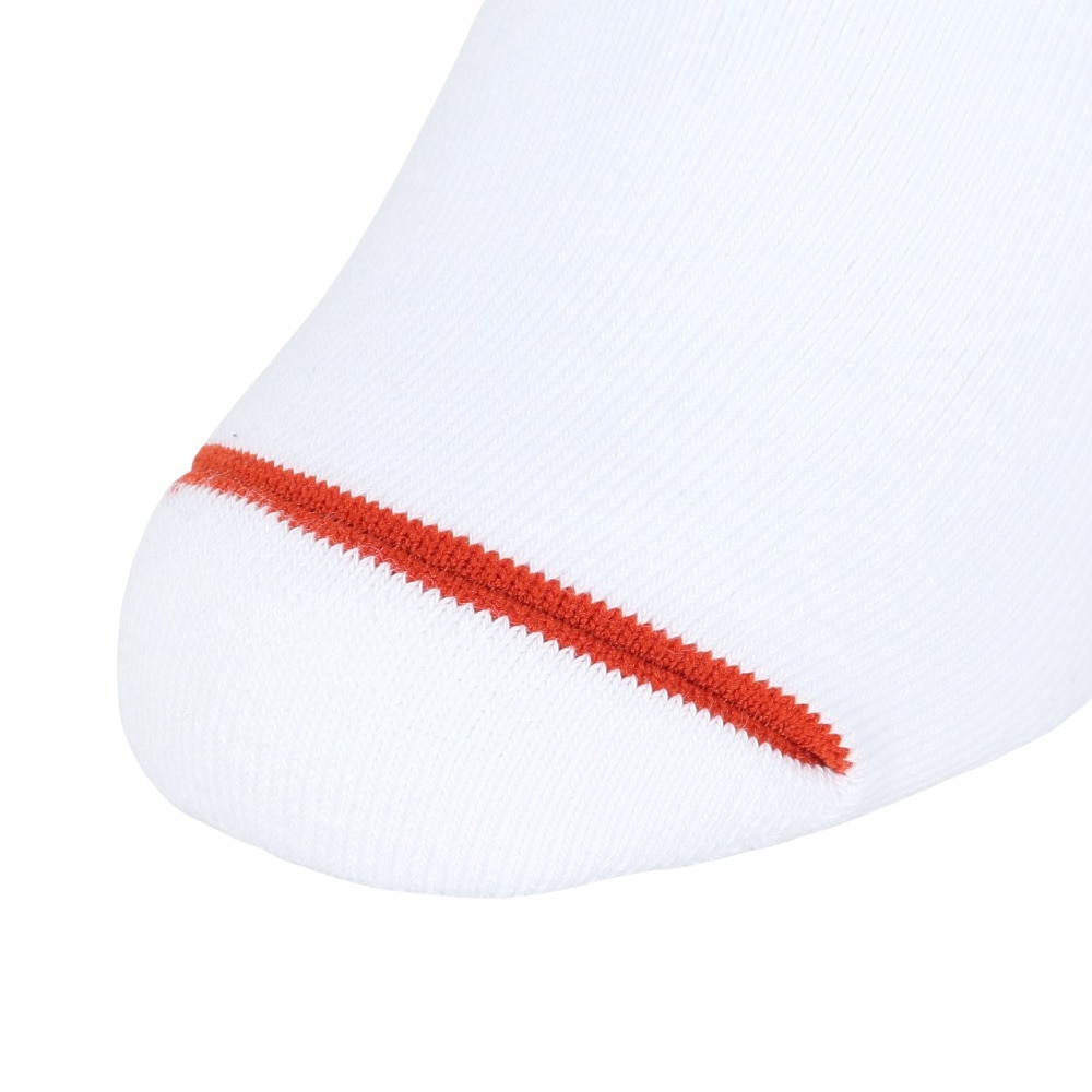 アクター（AKTR）（メンズ、レディース、キッズ）バスケットボール MONSTER ソックス 125-013021 WHOR