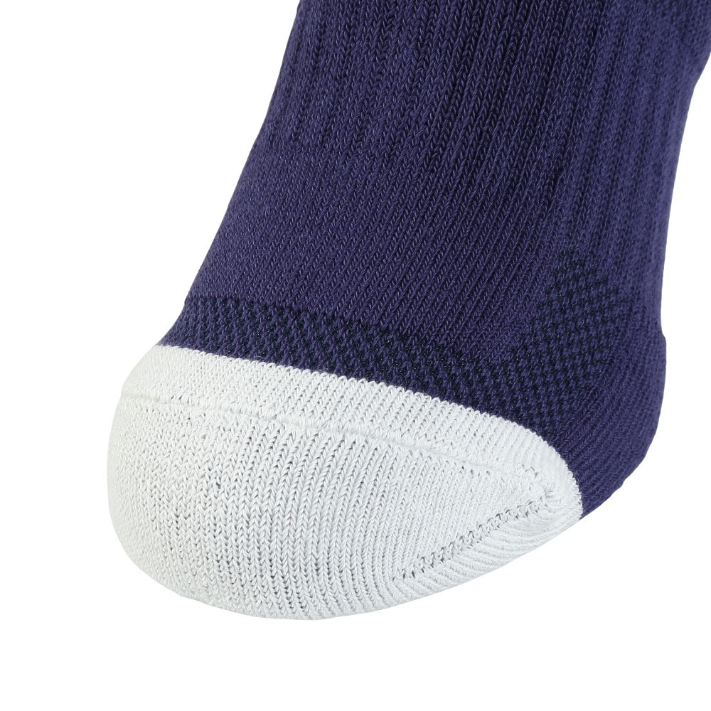 アシックス（ASICS）（メンズ）バスケットボール ソックス 3063A072.401