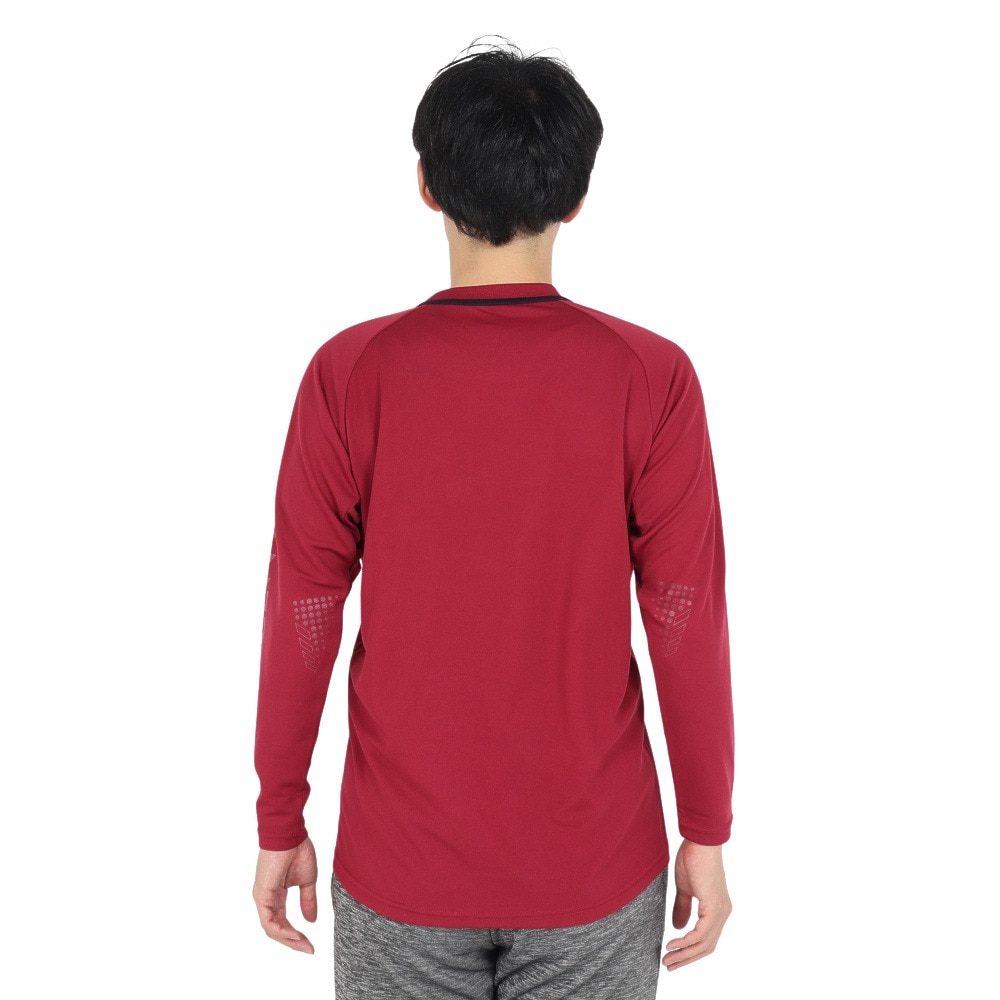 デサント（DESCENTE）（メンズ、レディース）バレーボールウェア 長袖バレーボールシャツ DV4FLT01U WR00