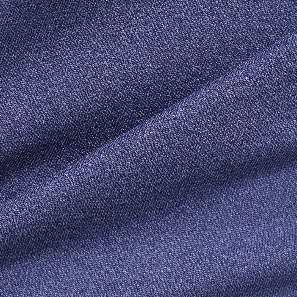 デサント（DESCENTE）（メンズ、レディース）バレーボールウェア 長袖バレーボールシャツ DV5FLT02U PL00