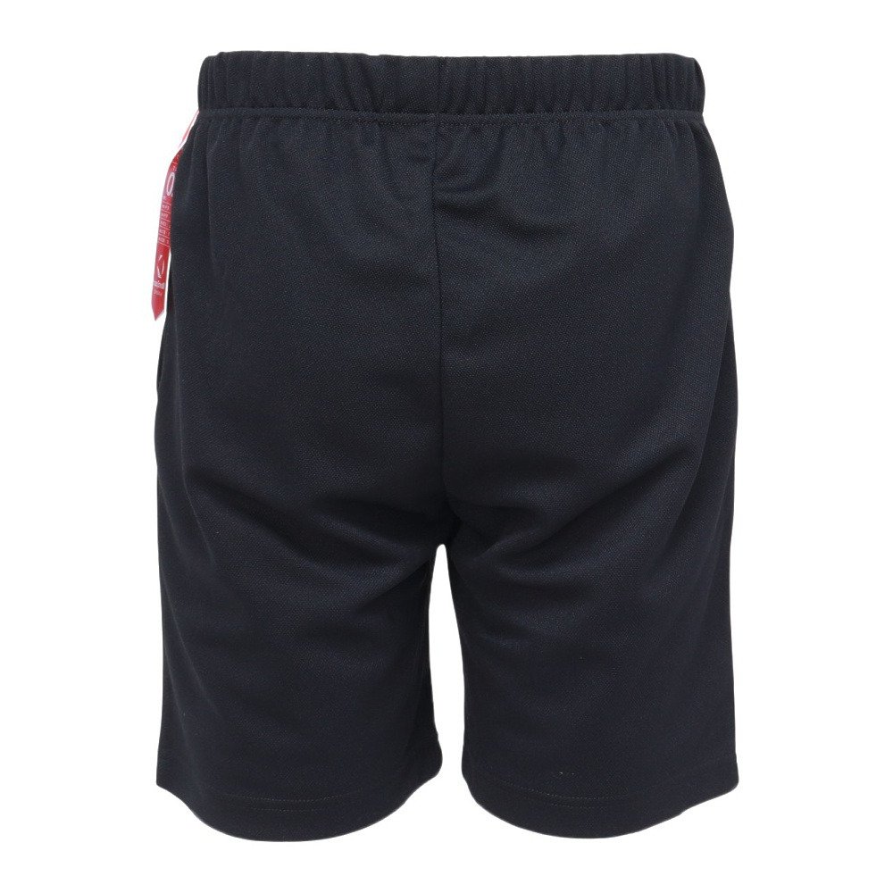 デサント（DESCENTE）（メンズ、レディース）バレーボールウェア